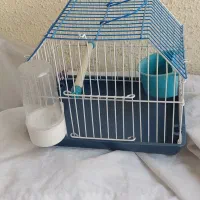 قفس کوچک|لوازم جانبی حیوانات|رشت, منظریه|دیوار