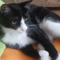 واگذاری رایگان با وسایل