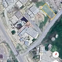 کله کبود زمین