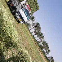 کامیونت هیوندا