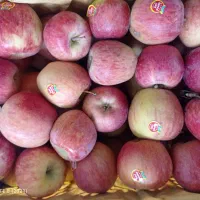 سیب خوشمزه وابدار قرمز