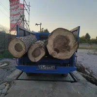 خریدچوب بالاترین قیمت روز