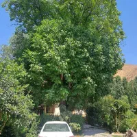 ویلاباغ منحصربفرددرهزارود|فروش خانه و ویلا|طارم, |دیوار