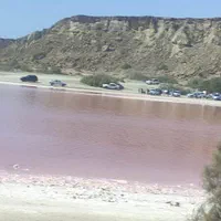 لیدر. تاکسی گردشگری|تور و چارتر|چابهار, |دیوار