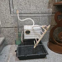 قفس پرنده