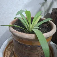 حراج وسایل