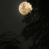 شیفت جدید از ۱۹ الی ۲۴ هر روز از شنبه تا چهارشنبه