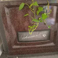 بخاری گازی آدونیس ۱۲۰۰۰
