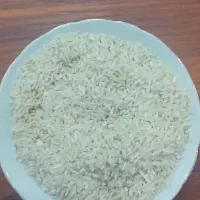 برنج عنبر بو