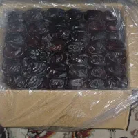 رطب درجه یک جیرفت