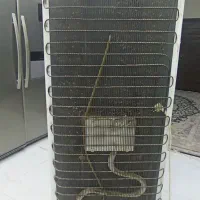 یخچال بوش  سالم|یخچال و فریزر|مشهد, خواجه ربیع|دیوار