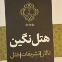 اشپز ماهر ایرانی