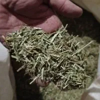 یونجه خرد شده