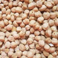 نخود درجه یک بذری