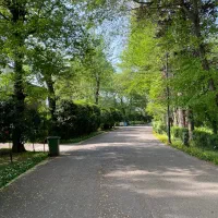 شهرک برند و میلیارد ها/فردوس رویان