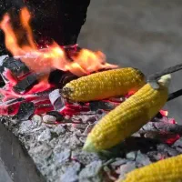 به یک نفر همکاری در کافه رستوران گردنه حیران