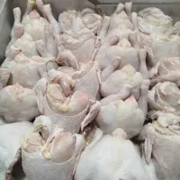 کالابرگ|خوردنی و آشامیدنی|شیراز, شهرک مدرس|دیوار