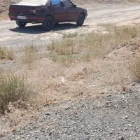 پژو مدل 81