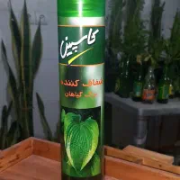 اسپری براق کننده گل آپارتمانی کاسپین