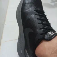 کفش  اصل۴۲/۵