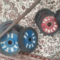 هالتر بدنسازی