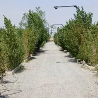 صاحب۲۰۰مترخانه ویلایی دربست بشی باپول قلکت