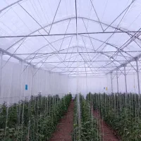 تعمیرات گلخانه صفر تا صد|خدمات پیشه و مهارت|تیران, |دیوار