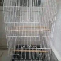 قفس بزرگ و کوچک|لوازم جانبی حیوانات|زرند, |دیوار