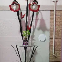 آباژور سه شعله