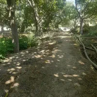 باغ در اسکو