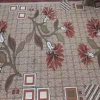 فرش|فرش|گرگان, |دیوار