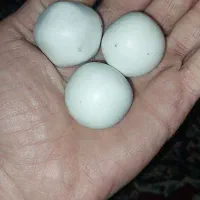 سنگ الماس (سنگ آسیاب)|جواهرات|رشت, جانبازان|دیوار