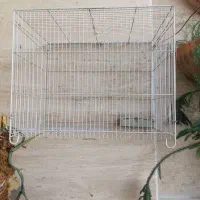 قفس پرنده