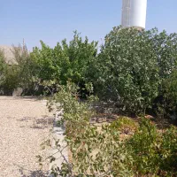 باغشهری صدرا اهل بیت|فروش خانه و ویلا|شیراز, باغشهر اهل بیت|دیوار