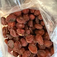 آلو سایه خشک