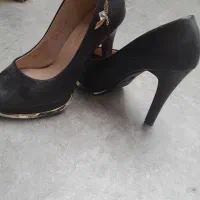 کفش مجلسی|کیف، کفش، کمربند|جوانرود, |دیوار