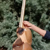 تارکلکسیونی