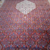 قالی بیجار صددرصد سلامت