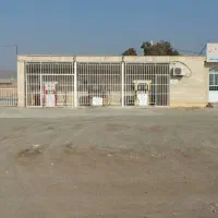 شش دانگ جایگاه محور شکریازی بفروش میرسد.