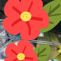 گازپنج شعله طرح فر(سنگاچین)|اجاق گاز و لوازم برقی پختوپز|بندر انزلی, چهارفریضه|دیوار