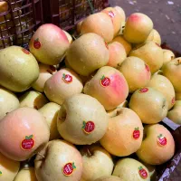 شریک و سرمایه برای بساط میوه|فعالیت داوطلبانه|مشهد, شهرک رازی (شهرک غرب)|دیوار