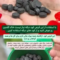 محصولات بهداشتی و نانو|مواد شوینده و دستمال کاغذی|کنارک, |دیوار