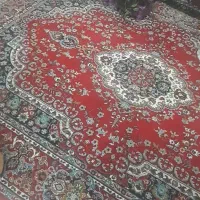 فرش ۱۲ و ۹ متری|فرش|آمل, |دیوار