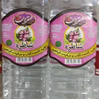 عرقیات و گلاب کاشان|خوردنی و آشامیدنی|قائن, |دیوار