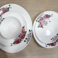 سرویس ۶ نفره اپال|ظروف سرو و پذیرایی|شیراز, تاچارا|دیوار
