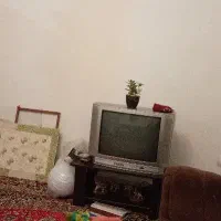 یک عدد تلوزیون ۱۷ اینچ