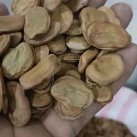 باقالا