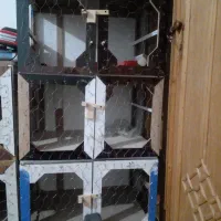 قفس ۳ طبقه نوع در دار