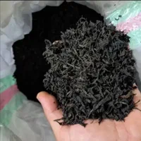 چای،ایرانی قلم لیزری  دورشت