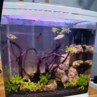 آکواریوم و تمام تجهیزات